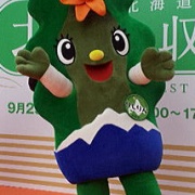 北海道ゆるキャラぬいぐるみ　利尻島りしりん　超レア 北海道ゆるキャラぬいぐるみ 利尻島りしりん 超レア - メルカリ
