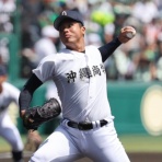 ポリー速報