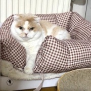 プレミストドーム（札幌ドーム）に行ってきました