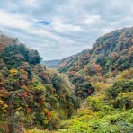 介護がきた・50代から始める独身女性の仕事と生き方