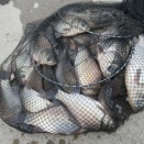 「五反田の手応え、そして別日にヘラを届ける旅」