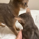 お布団の取り合い