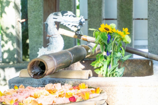 高槻つーしん 野見神社