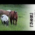 夢のない最高の夢