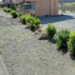 自然を満喫しよう！