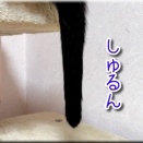 ぶら下がってると