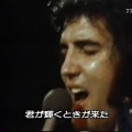 Graceland Style　３３　立水栓を設置する