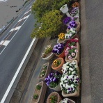 メゾンカルチャークラブ久喜テニススクールblog