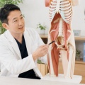 『50代から筋肉量の減少が加速？医師がすすめる「30秒もも上げ」の正しいやり方50代 筋肉量』についてまとめてみた