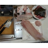 ありがとう鹿島灘サーフ２０１５年初水揚げ