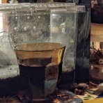 虫様についてこい(｀Д´)ノ！