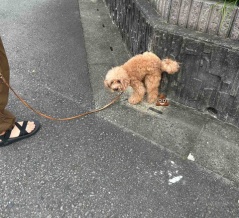 楽天お買い物マラソン🏃🏃‍♀️🏃‍♂️