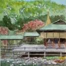 水面への映り込みがむずかしい