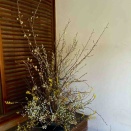 二季の時代に想う