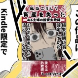 『私はこうして資産を失った ―ある主婦の投資失敗録― 完全版　Kindle化のお知らせ』の画像