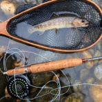 柴犬と暮らす山好きフライ釣人の日記