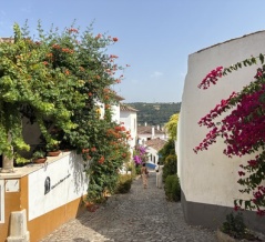 ⑦のんびりリスボン☆JALとルフトハンザ航空で行く5泊7日一人旅（2日目・その3）