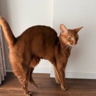 クネクネ甘えん坊ひめちゃん