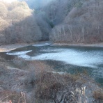 八ヶ岳自然アルバム