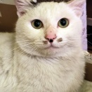 プン！　十三日目