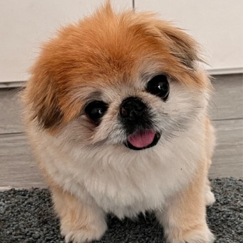 心配