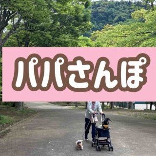 メルロコ一家の横須賀ストーリー