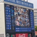 5/24 ポケモンデー