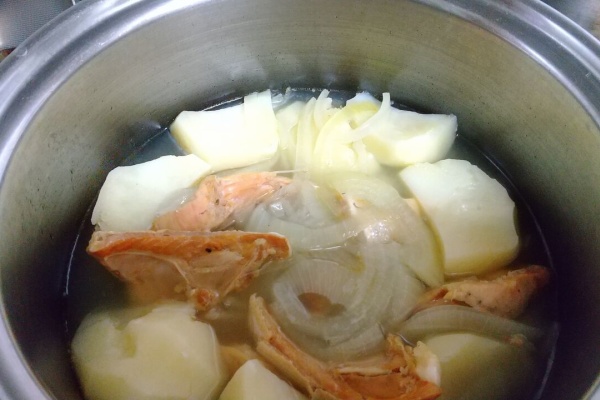 おこぜのちょこっと日記