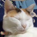 そおかなぁ！