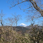 熱海・信仰の道を歩いてきました