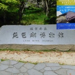 ビワコオオナマズ飼育日記