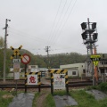 [JR石北線]川向道路踏切（233k119m）