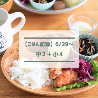 安く買えた桃とすもも！ジョブチューンで紹介されてたミニストップスイーツ【ごはん記録6/29～】