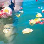【画像】美人女子3人組の水着姿、真っ昼間から全国放送されるｗｗｗｗｗｗｗｗ