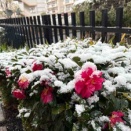 アジアカップSF・3位決定戦