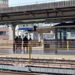 夫婦スポーツ観戦記！