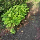 退職後初の車中泊体験。。。1日目　2022年9月の記録