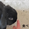 それがいい。
