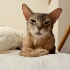 早寝派のぼくちんは、先にベッドに行く