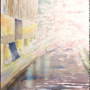 春の香り(水彩画) ラナンキュラスの香り watercolor painting