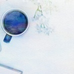 Rareplan＋稀企画＋