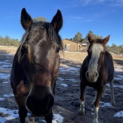 ���򴵤ä��ͤΤ����