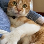 だいじろう日和。