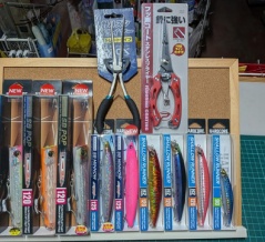 11月9日　入荷情報&検量速報