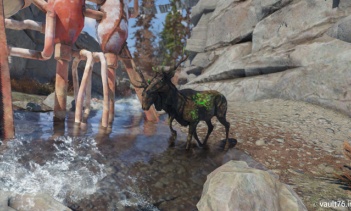 Fallout 76：ペットの発光ラッドスタッグが配布されるなど、パッチ７後の不具合まとめ（更新）