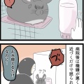 不正咬合の経過(2026年9月)後編