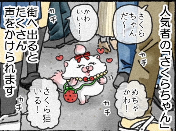 【メロとタビ/こばなし】さくらちゃんのおでかけ🌸