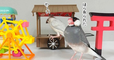 はー遊んだ遊んだ