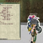 ねこさんなのです