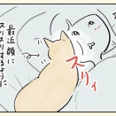 乾燥するんでいろいろ塗ってます